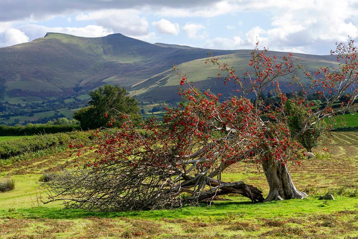 Picturesque 2 Bedroom Miners Cottage Near Bike Park Wales & Brecon Beacons Merthyr Tydfil Buitenkant foto